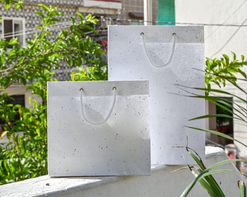 Seed Paper